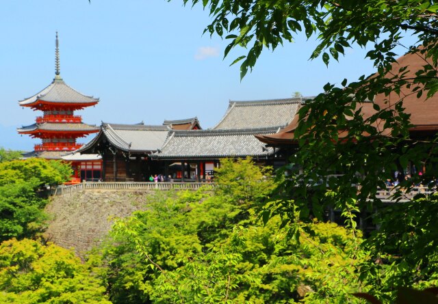 新緑の清水寺