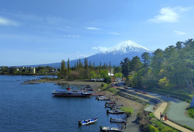 新緑の河口湖