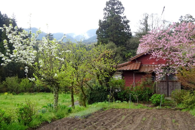 雨あがり 山村の静かな春