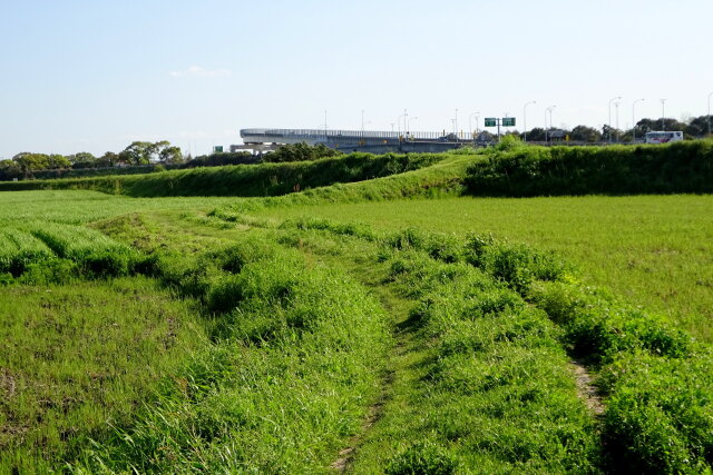 緑の農道 鳥栖JCTへ接続？