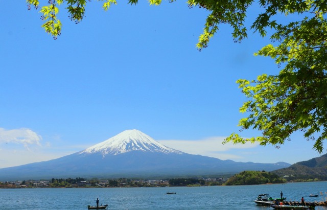 新緑の河口湖