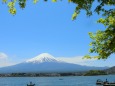 新緑の河口湖