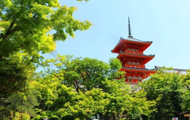 新緑の清水寺