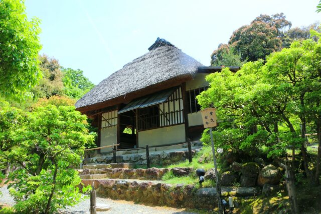 新緑の高台寺