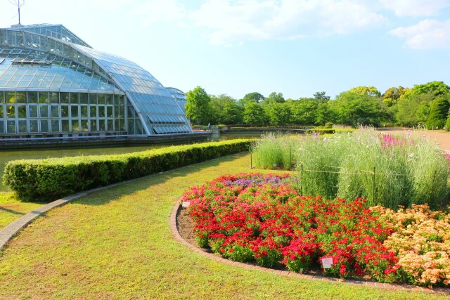 京都府立植物園