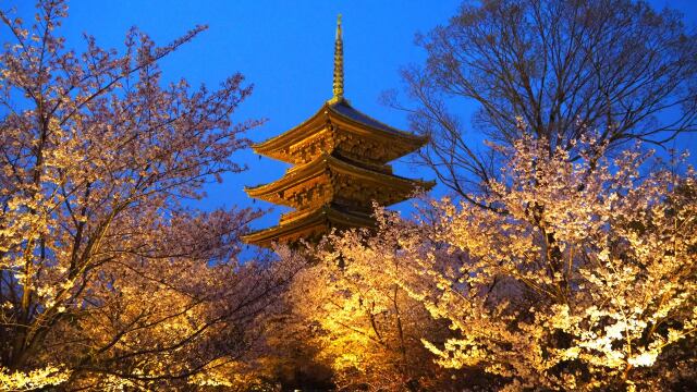 春の夜の東寺