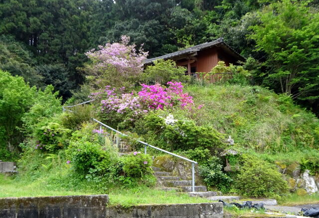 山村の小さな丘の上の神社