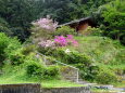 山村の小さな丘の上の神社