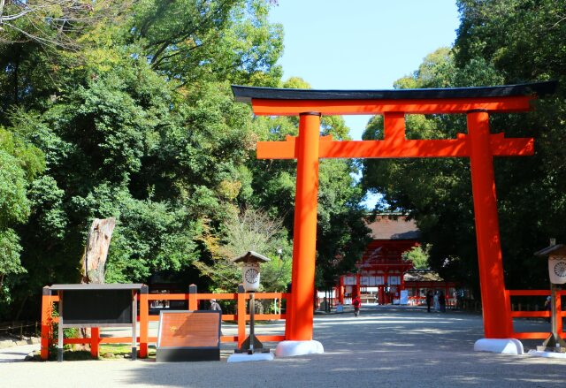 新緑の下鴨神社