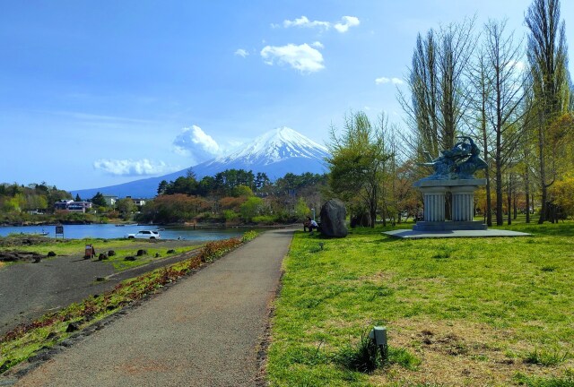 新緑の河口湖