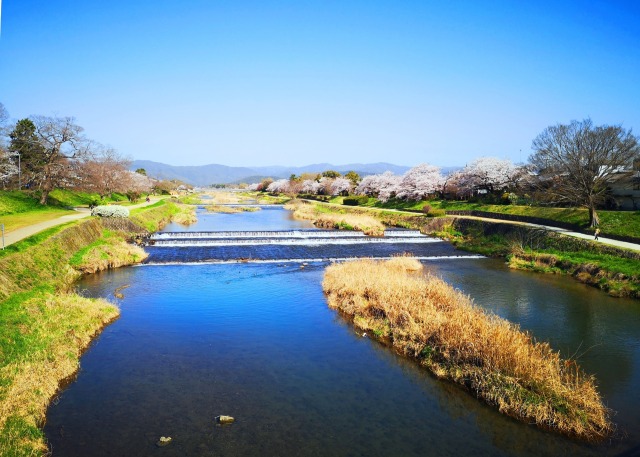 鴨川