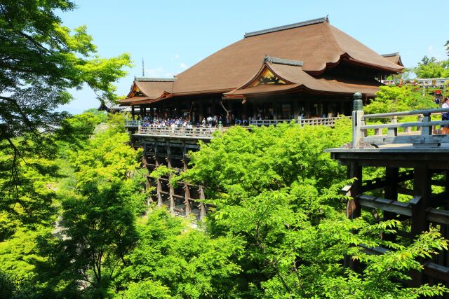 新緑の清水寺