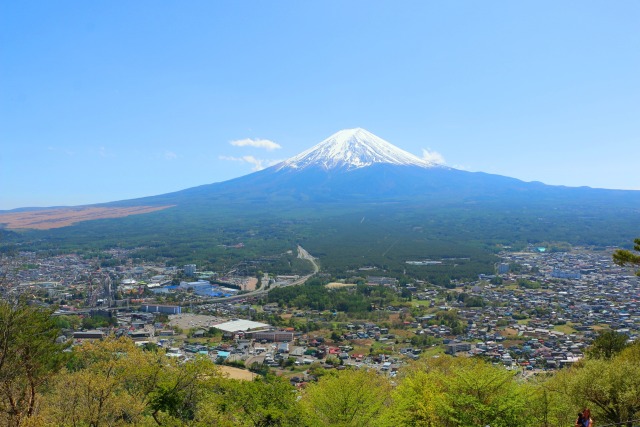 新緑と富士山