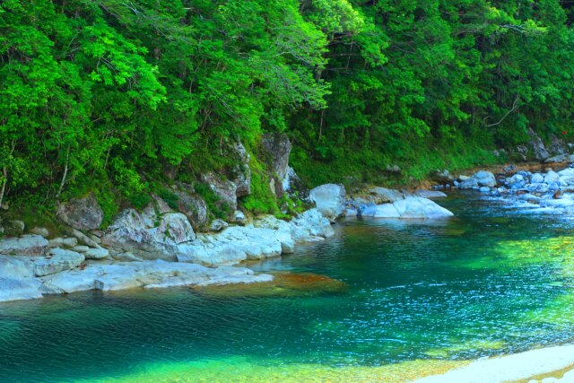 新緑の清流銚子川