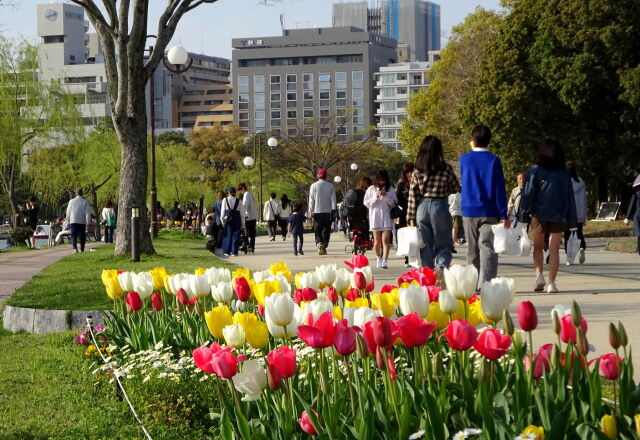 昼下がり 春の公園遊歩道