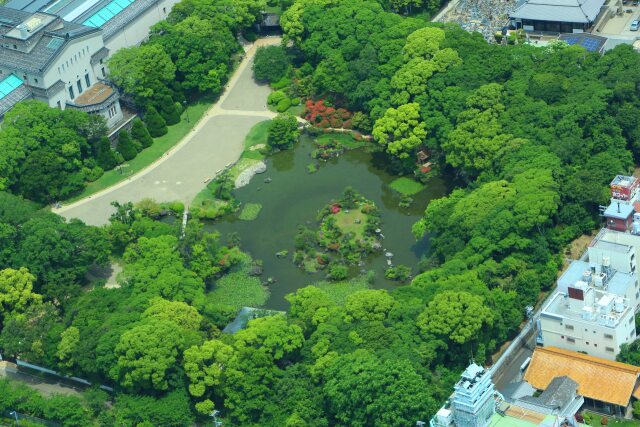 新緑の慶沢園