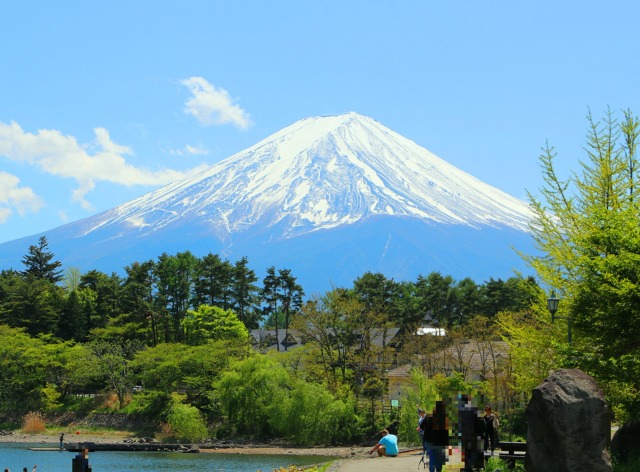 新緑の河口湖