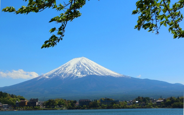 新緑の河口湖