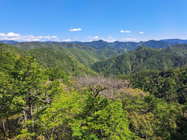 滝尾根展望台より