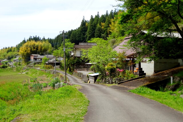 山村をたどる道