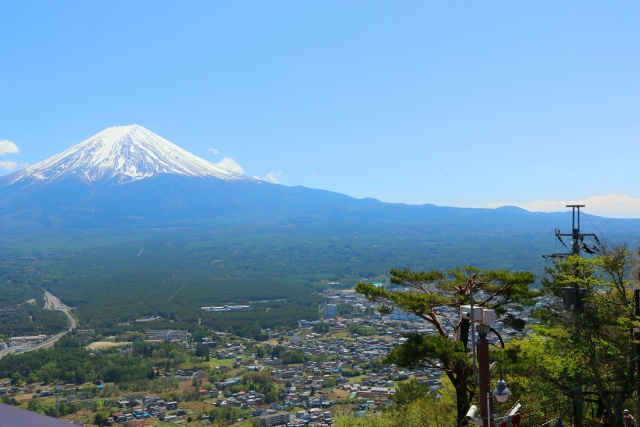 新緑の河口湖