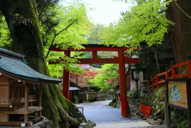 新緑の貴船神社