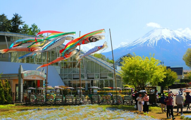 富士山と鯉のぼり