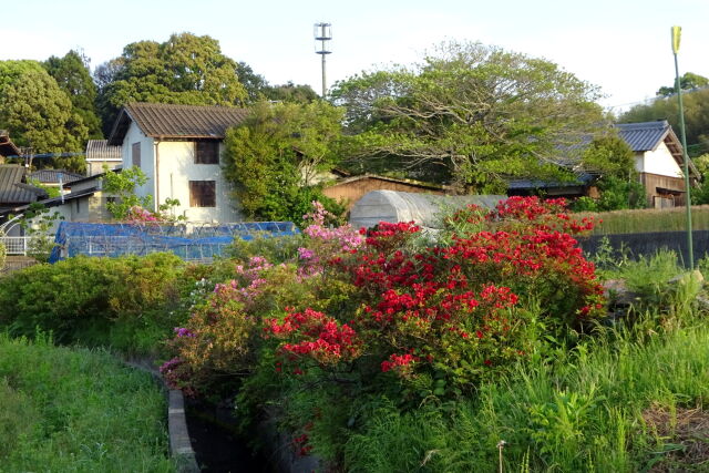 花咲く里の春