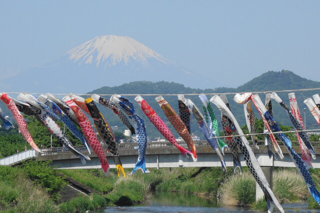 鈴川鯉のぼり