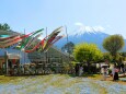 富士山と鯉のぼり