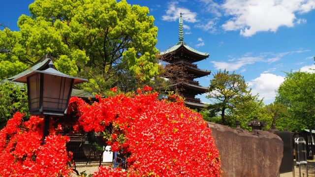 春の上野東照宮