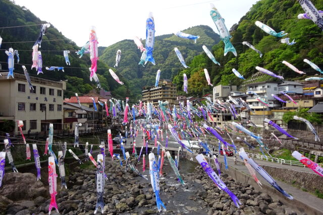 杖立温泉鯉のぼり 五月の風に