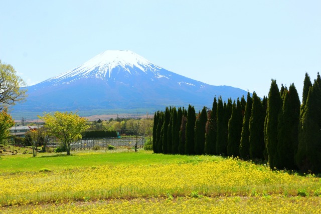 新緑の花の都公園