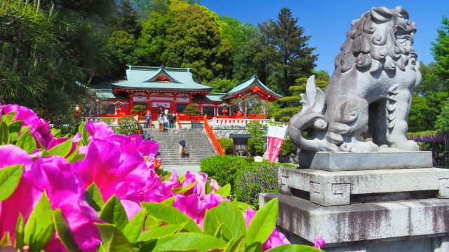 春の織姫神社