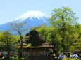 新緑の忍野八海