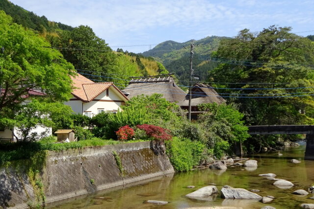 川辺の春景色