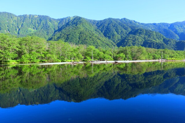 新緑の上高地