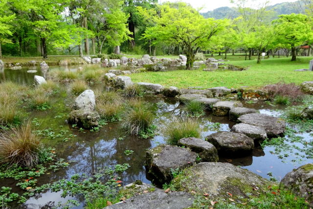 新緑公園の飛び石