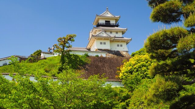 春の掛川城