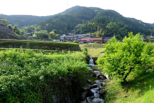 新緑五月の山里