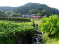 新緑五月の山里