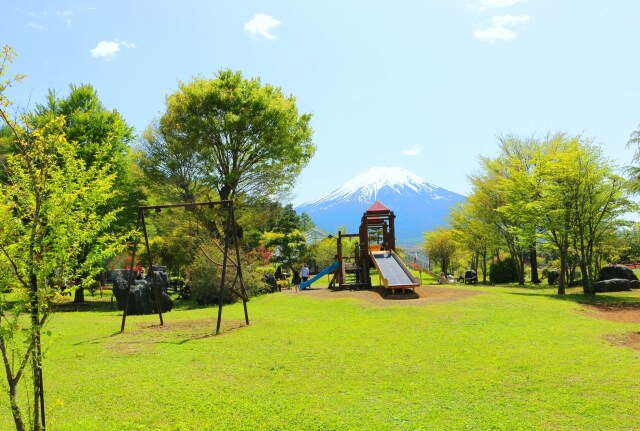 新緑と富士山