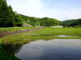 田植えが始まっている山間部