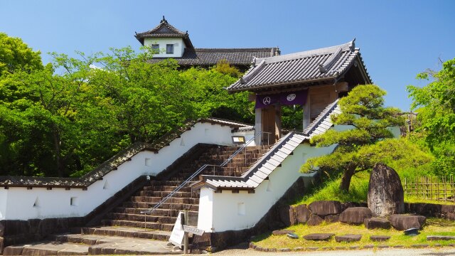 春の掛川城