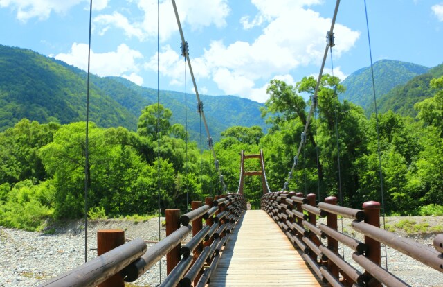 新緑の上高地明神橋