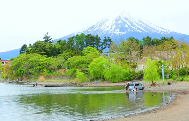 新緑の河口湖