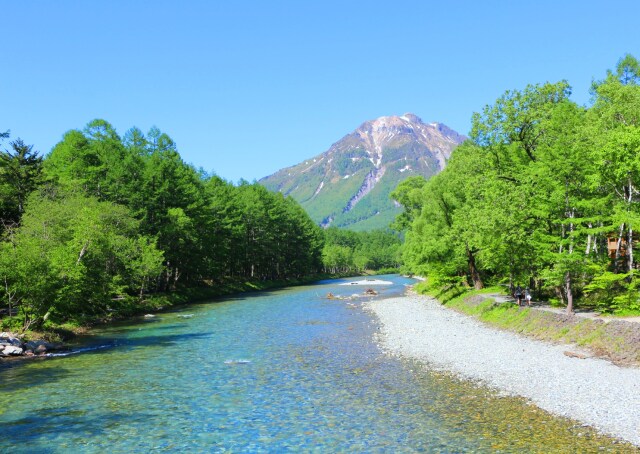 新緑の上高地