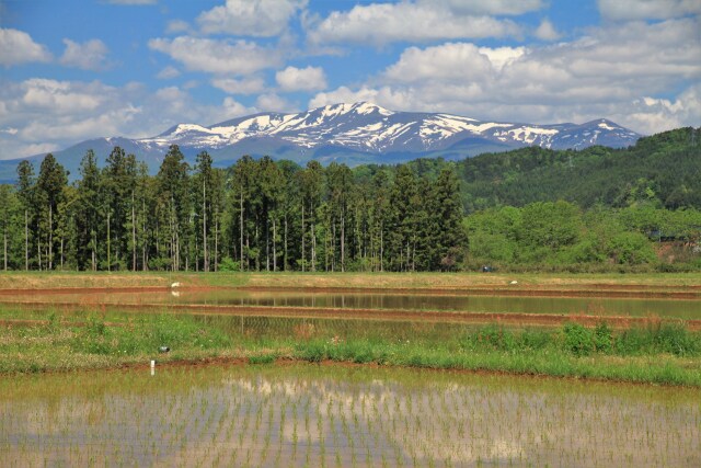 栗駒山