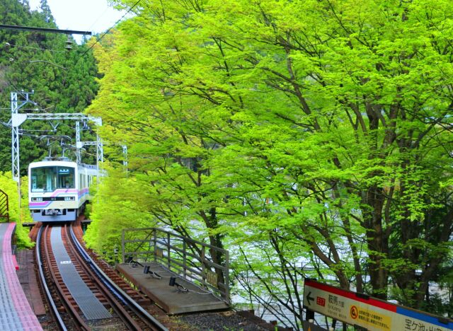 新緑の貴船口駅