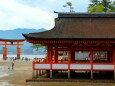 新緑の厳島神社